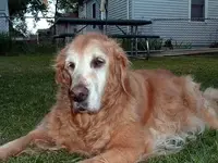 what\'s that on my nose.webp