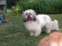 Charley.webp