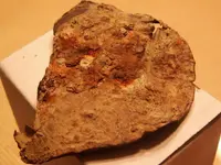 Picture 008.webp