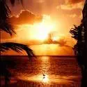sunrise in Flordia.webp