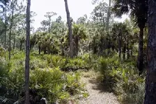 R0010937.webp