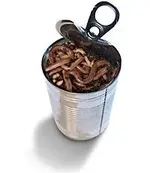 can_of_worms.webp