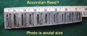 AccordianReed.webp