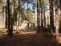 Cabin1a.webp