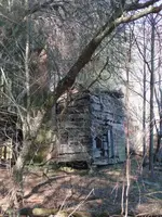 Cabin2.webp