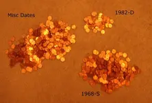 Copper Pennies.webp Copper Pennies.webp