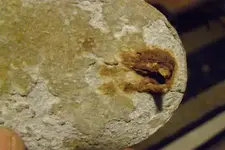 PC060007.webp