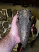 Artifacts from 08 027.webp