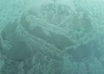 Jack Frost.webp