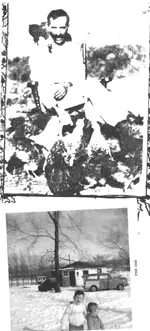 Lowbatts branch.webp