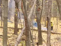 fire4.webp