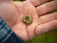 button 004.webp