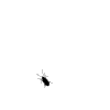 ..gif ..gif