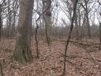 1-03-09 HUNT 005 (Small).webp