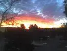 beautiful am.webp