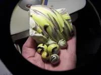 bumbleslag.webp