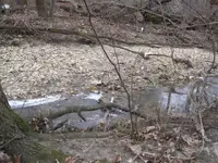1-03-09 HUNT 013 (Small).webp