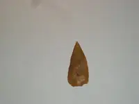 arrowhead - pet. wood natchez trace 1-27-09 002.webp