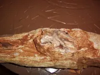 petrifiedlog.webp