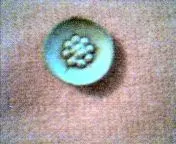 cap_057.webp