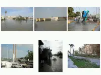 marina.webp