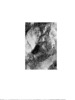 Fox.webp