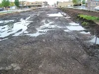 051306 003.webp