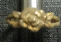 rose ring.webp