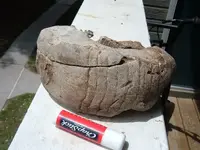 DSCF4402.webp