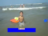 8206A.webp