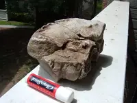 DSCF4404.webp