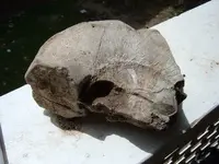 DSCF4405.webp