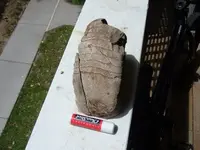 DSCF4406.webp