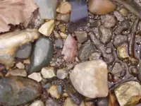 P1220259.webp