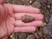 P1220260.webp