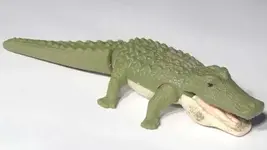 croc.webp