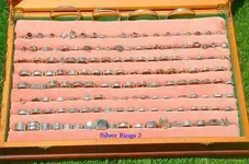 My Silver Collection 5 (600 x 398).webp