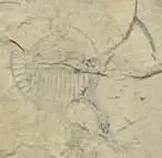 rock painting c.webp