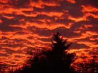 Sunset Picture #2.webp