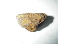 IMGP0583.webp