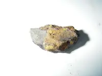 IMGP0584.webp