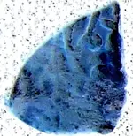 cob1neg.webp