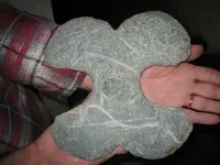 Picture 001.webp