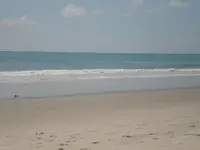 sand.webp