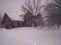 100_9833.webp