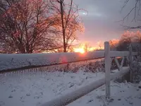 ice storm fence.webp
