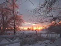 setting sun.webp
