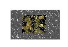 snow.webp
