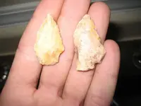 Coastal Chert.webp