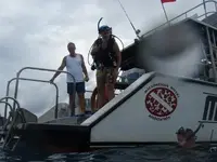 n509685195_2186742_1728.webp